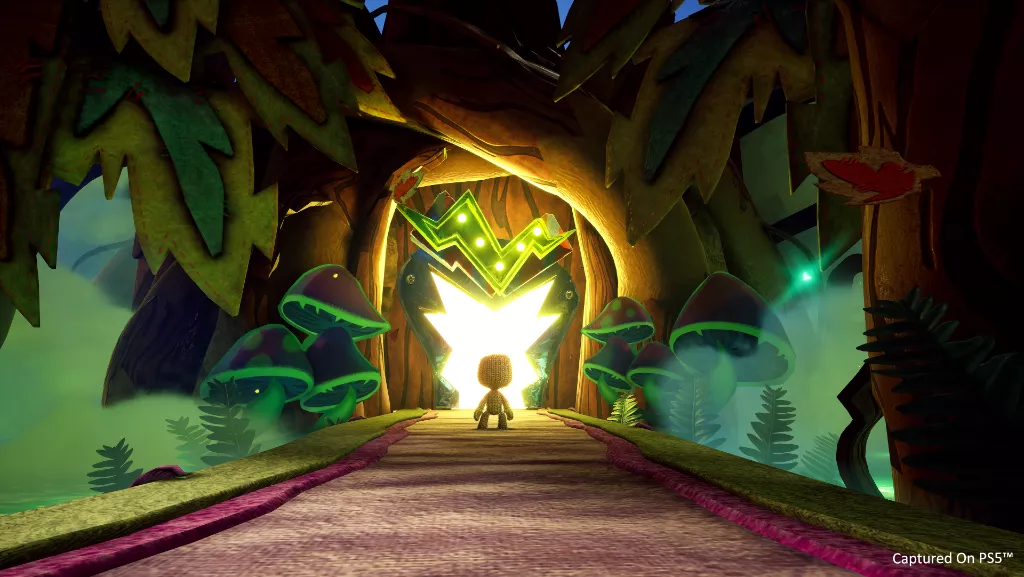 Sackboy 13