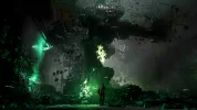 The reactor core