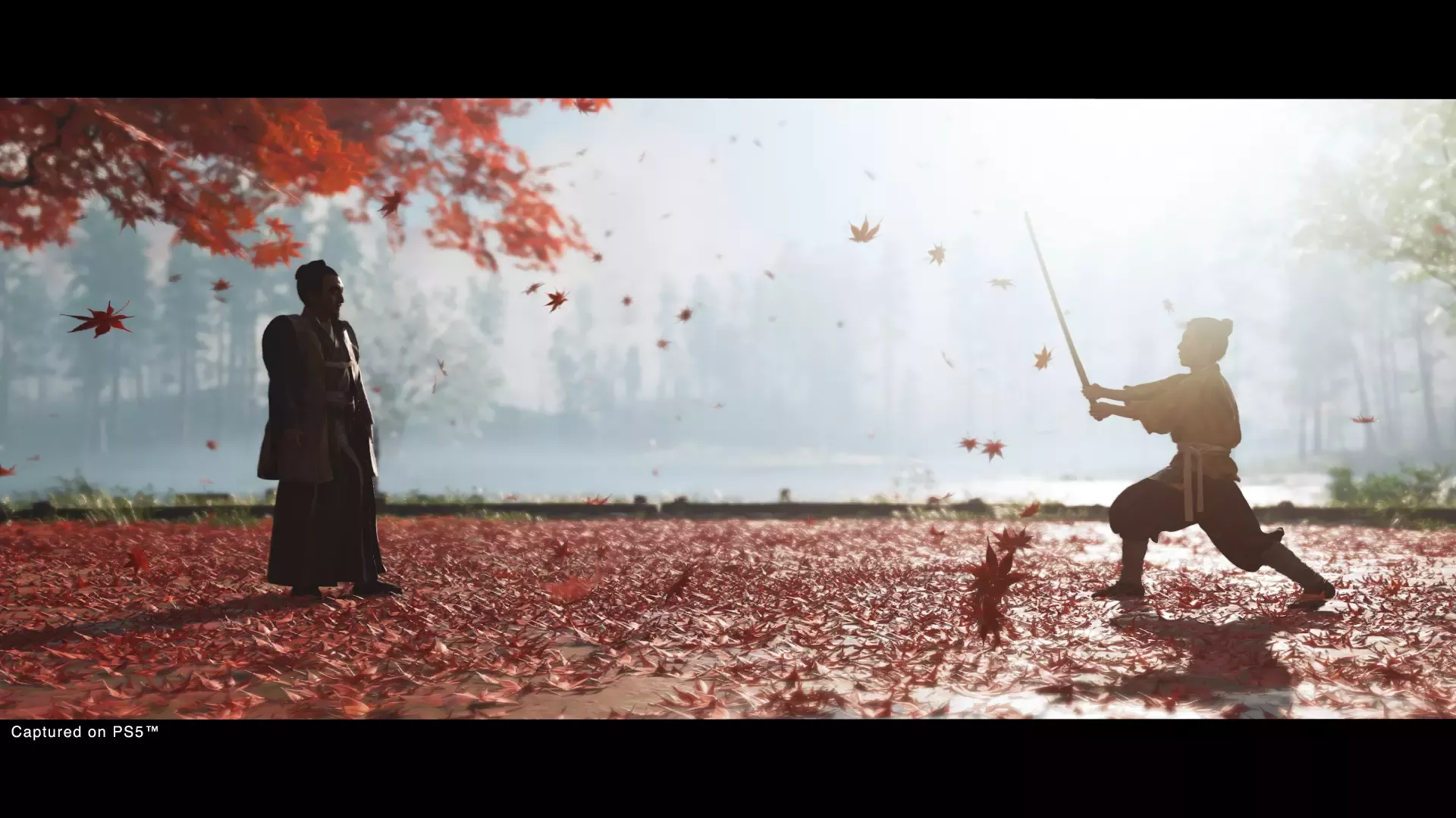 Ghost Of Tsushima DC 2