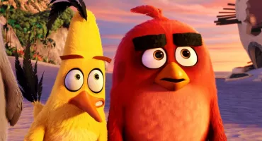 angry birds 04