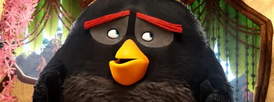 angry birds 06