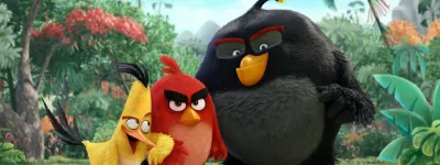 angry birds 07