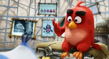 angry birds 09