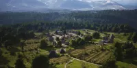 manor lords