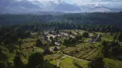 manor lords