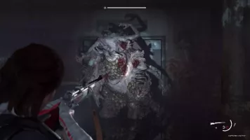 the last of us part ii remastered 